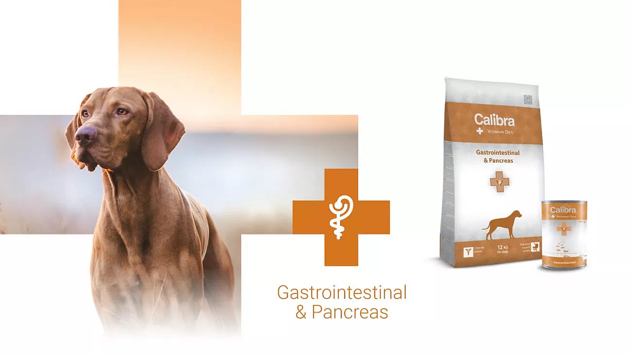 Calibra Dog Veterinary Diets Gastrointestinal and Pancreas