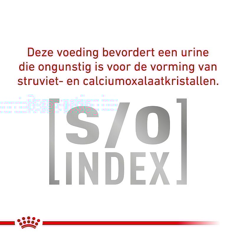 Royal Canin Urinary S/O Hond 12 x 100 gram maaltijdzakjes - Thin slices in gravy