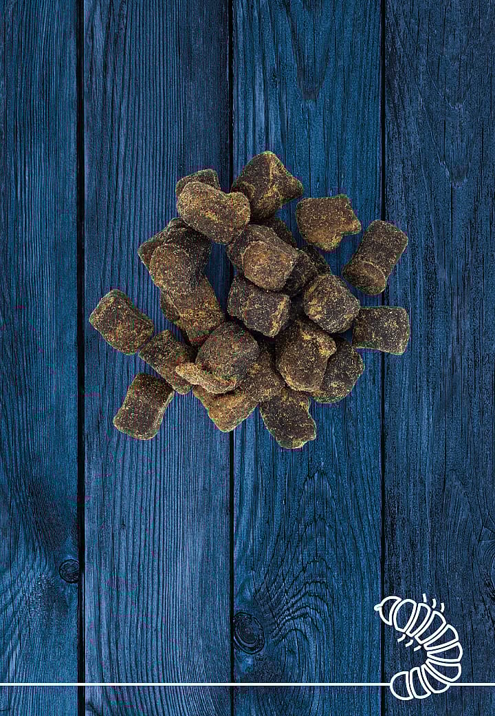 Vet-Concept Hermetia Illucens Snack Hond Kat