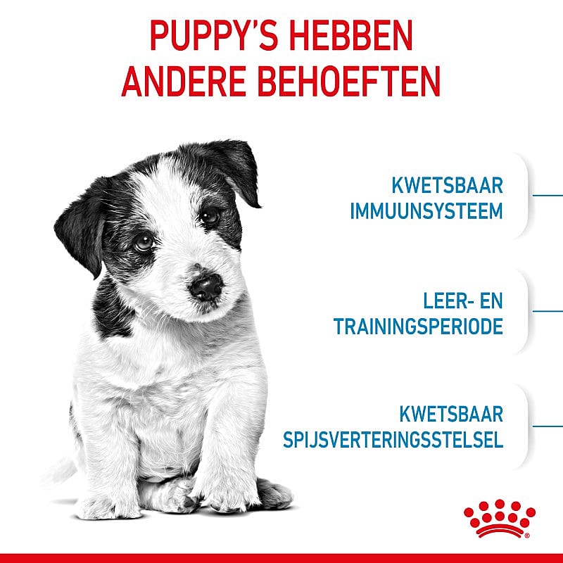 Royal Canin Puppy Mini 4 kg