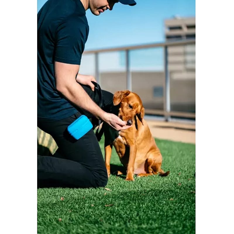 Popware Pooch Pouch Treatbag Blauw