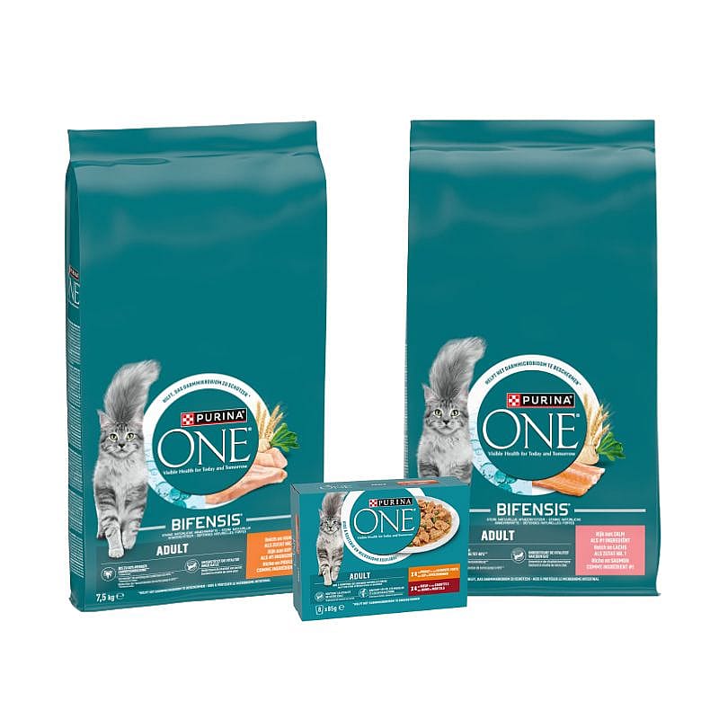 Purina One Adult Kat