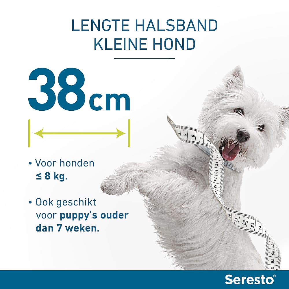 Seresto Halsband Hond: Vlooien en Teken Bescherming - 7 tot 8 maanden - Geurloos & Waterbestendig