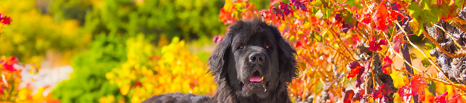 fd18269256cb1bdf99357fc21df87cc7