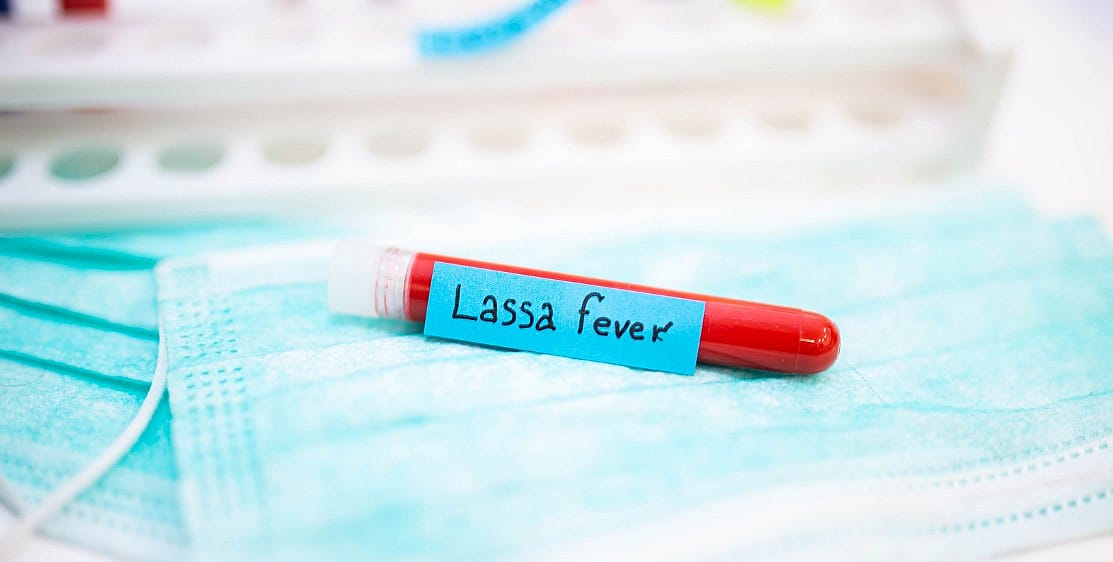 Lassa-virus-hond-kat-paard-risico-verwaarloosbaar