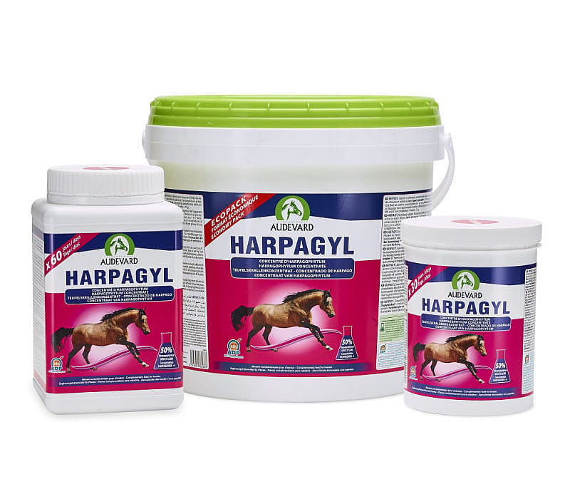 Audevard Harpagyl Spier Bot Paard 900 gram