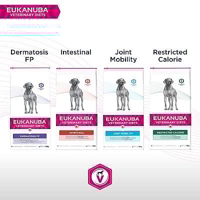 Eukanuba Dermatosis FP Hondenvoer