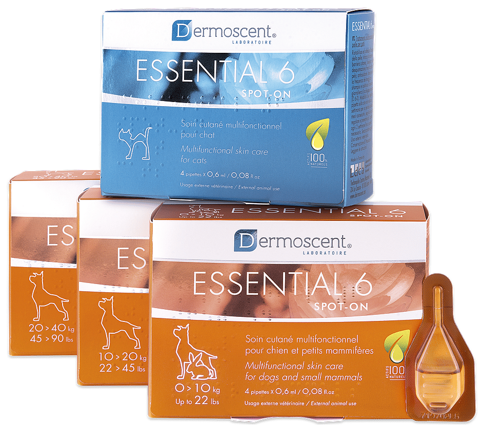 Dermoscent Essential Hond Hond 20 - 40 kg - 4 pipetten