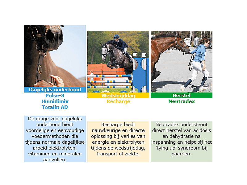 Virbac Recharge Paard 1 liter