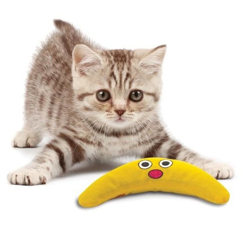 Petstages Catnip Boomerang Buddy Kat