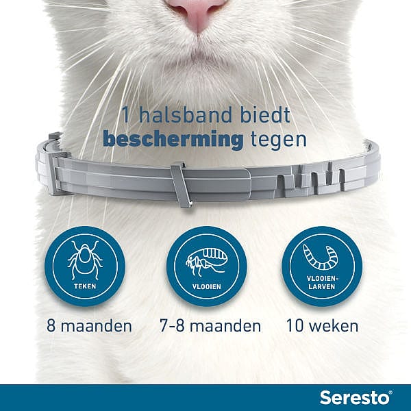 Seresto Halsband Kat: Vlooien en Teken Bescherming - 7 tot 8 maanden - Geurloos & Waterbestendig