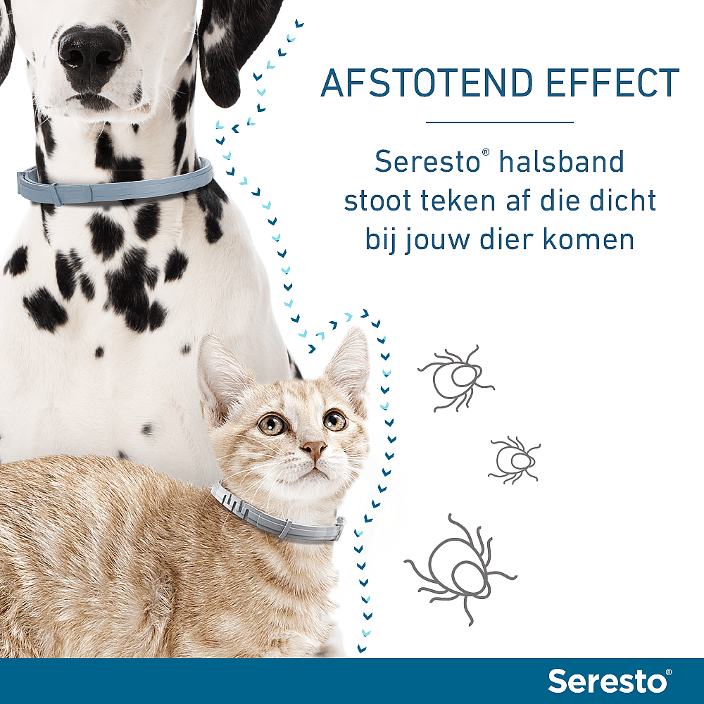 Seresto Halsband Hond: Vlooien en Teken Bescherming - 7 tot 8 maanden - Geurloos & Waterbestendig