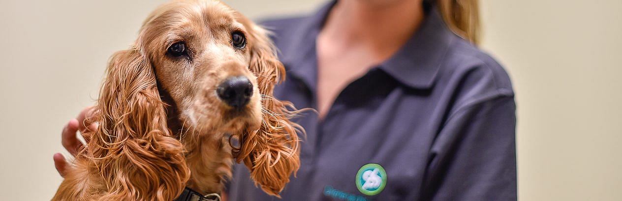 7526934268b44e9b01ef76a15b7a830c