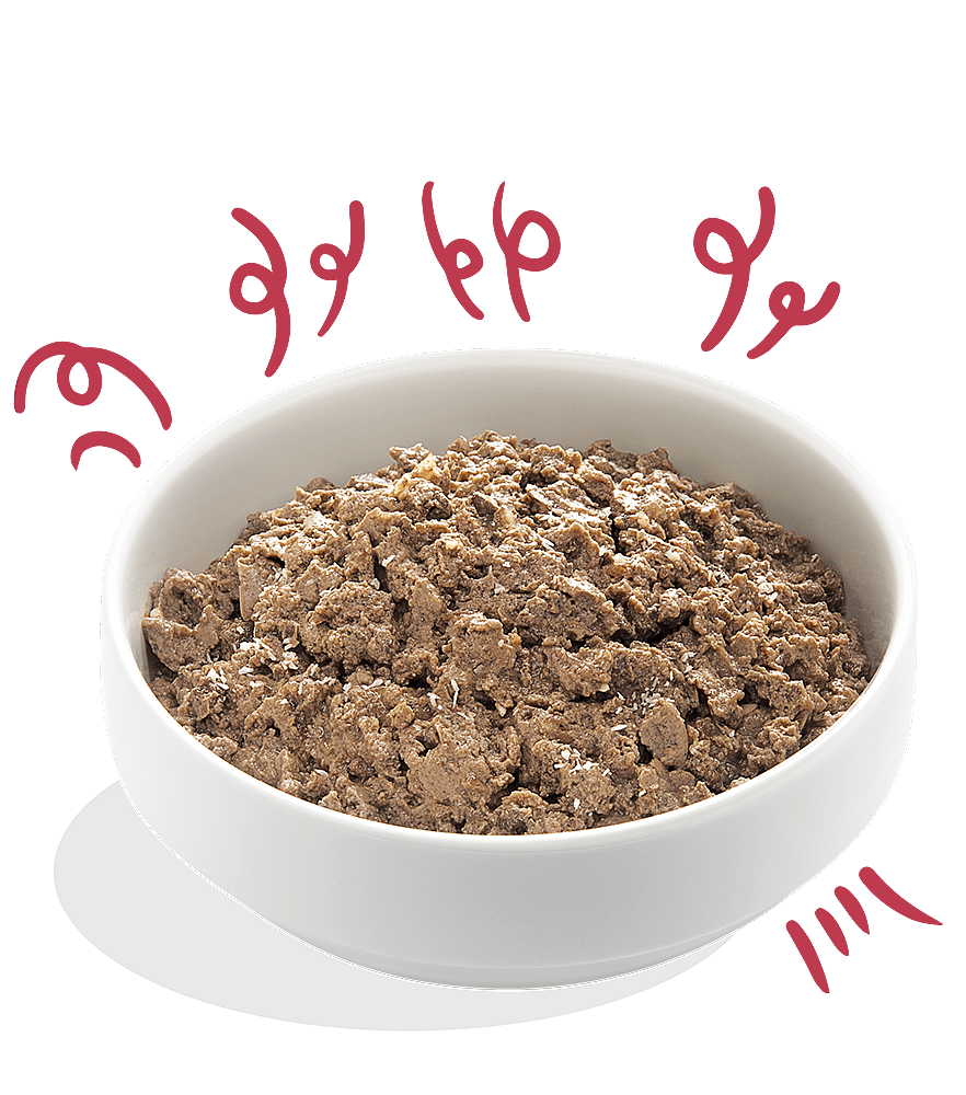 Edgard & Cooper Adult Hondenvoer Biologisch Kuipjes Rund 17 x 100 gram