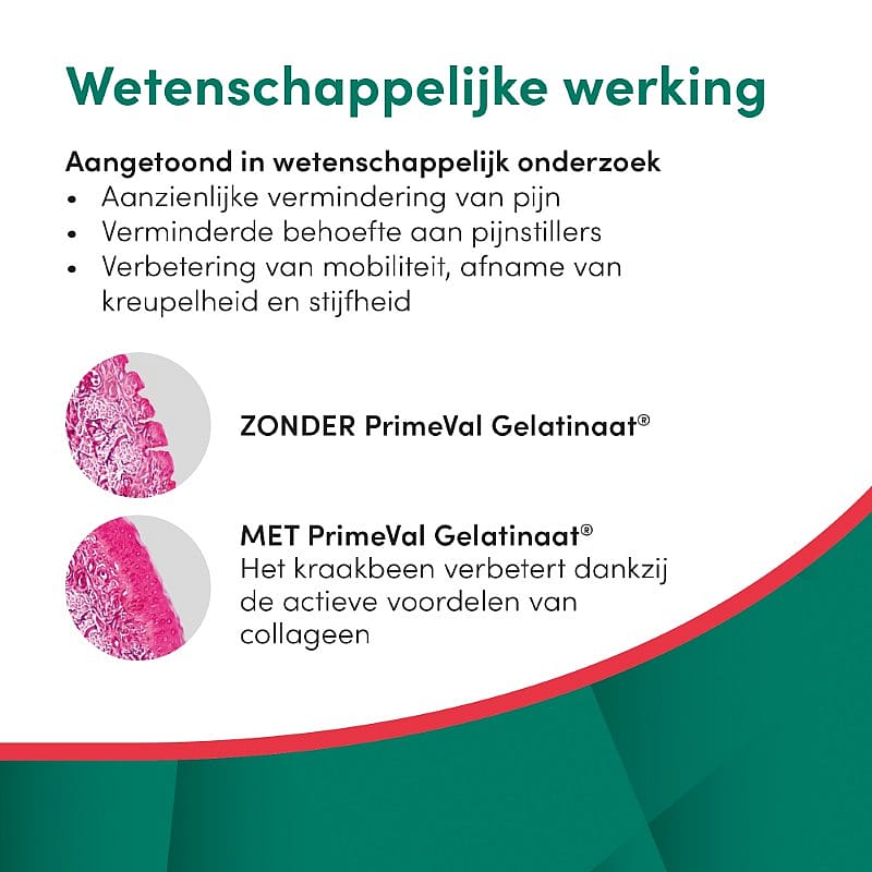 Primeval Gelatinaat Hond