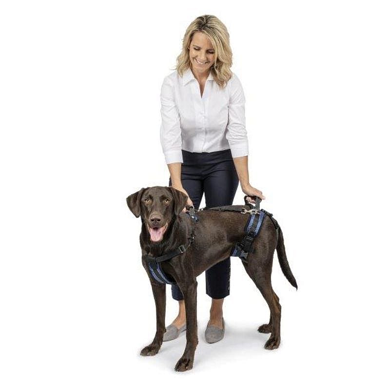 Petsafe Carelift Support Harness Maat Large