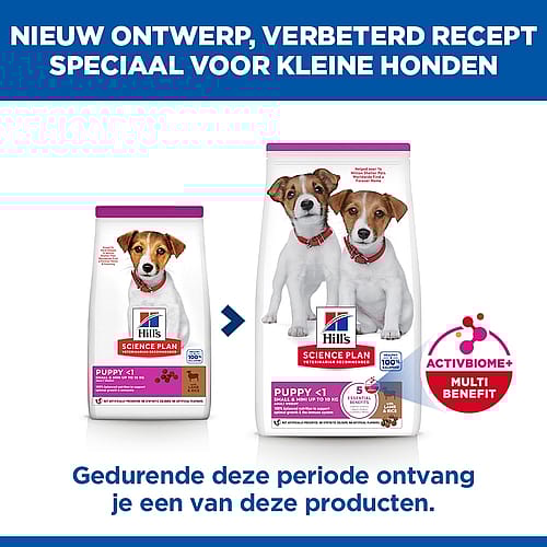 Hill's Science Plan Small & Mini Puppyvoer met Lam & Rijst 6 kg