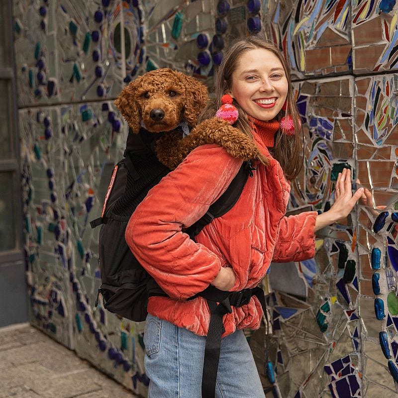 K9 Sport Sack® Air 2 Rugzak Hond