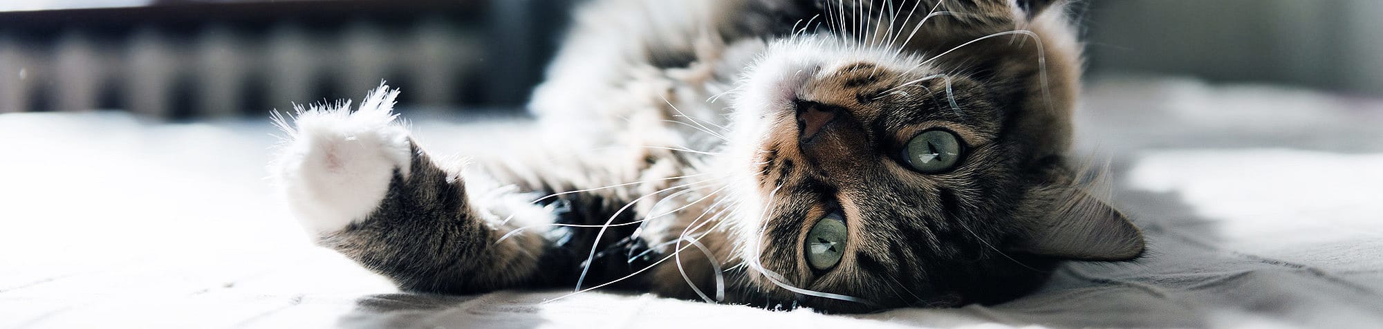 d6b203c00f483fe55b392ee035e32a6e