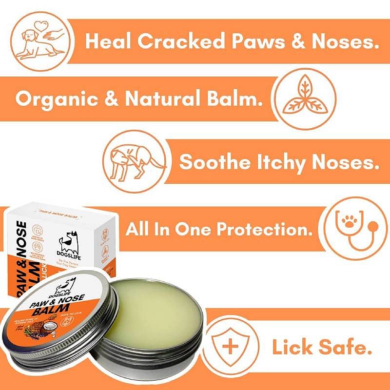 DogsLife Paw & Nose Balm Hond 60 ml