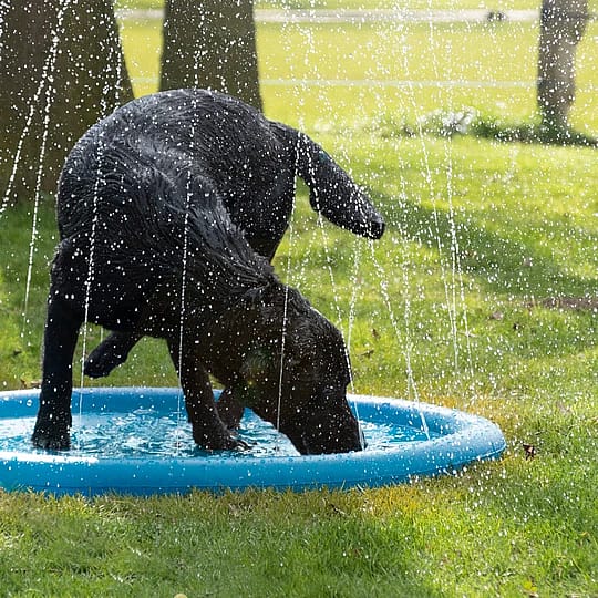 COOL01203-coolpets-splash-pool-sproeier Coolpets Splash Pool Sproeier