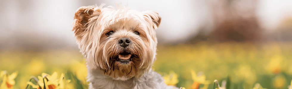 3f812526177cf9c4eb8a74645429f97c