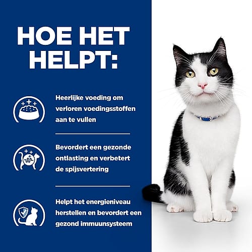 Hill's Prescription Diet ID Digestive Care Kattenvoer 12 x 85 gram maaltijdzakjes kip