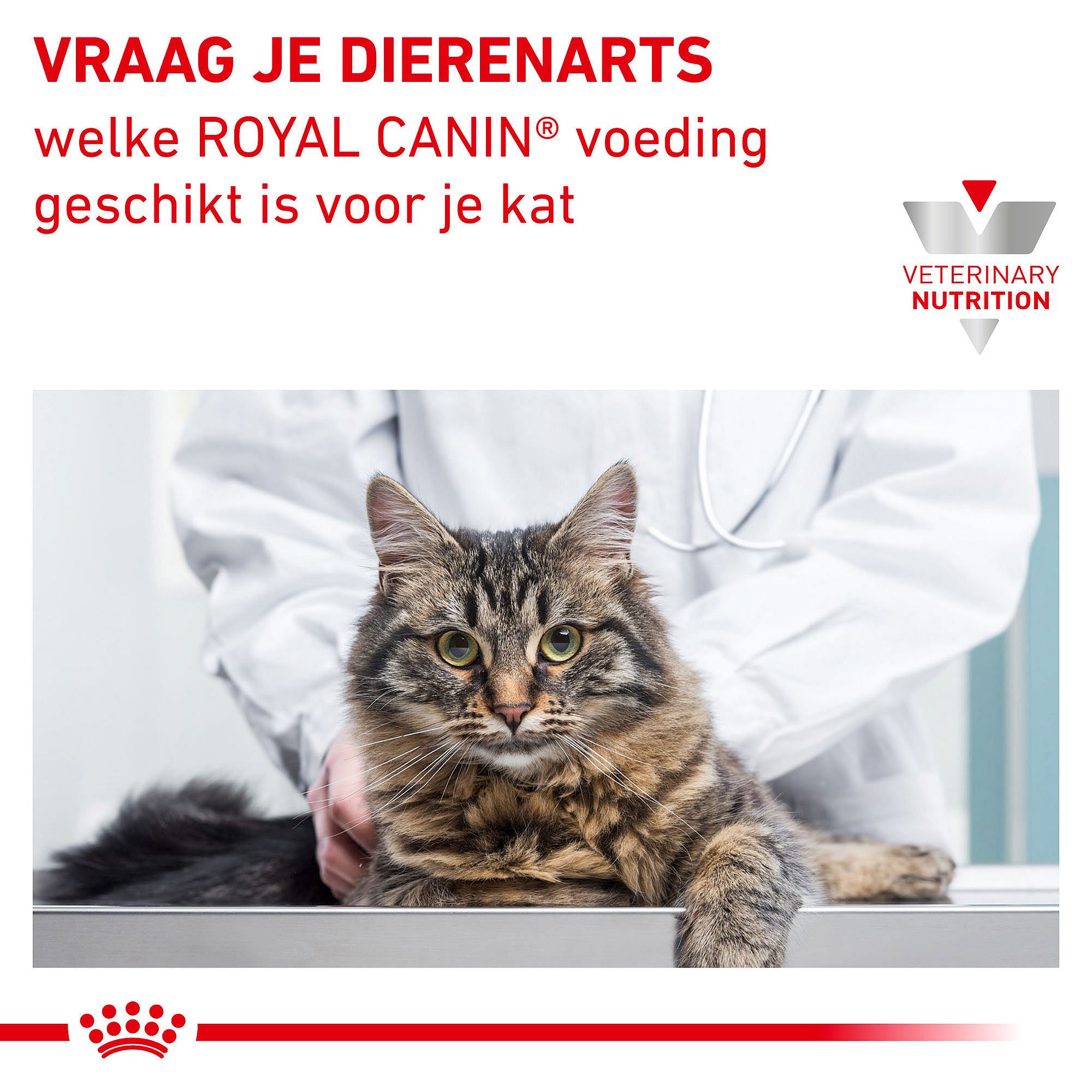 RC-VET-DRY-CatAna-CV-Eretailkit-7-nl_NL Royal Canin Anallergenic Kat