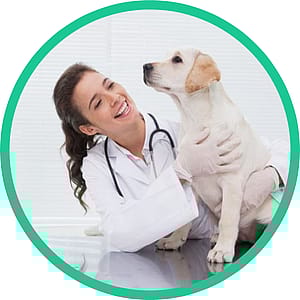 Dokter, Persoon, Dierenarts, Hond, Jas, Dokter, Persoon, Dierenarts, Hond, Jas