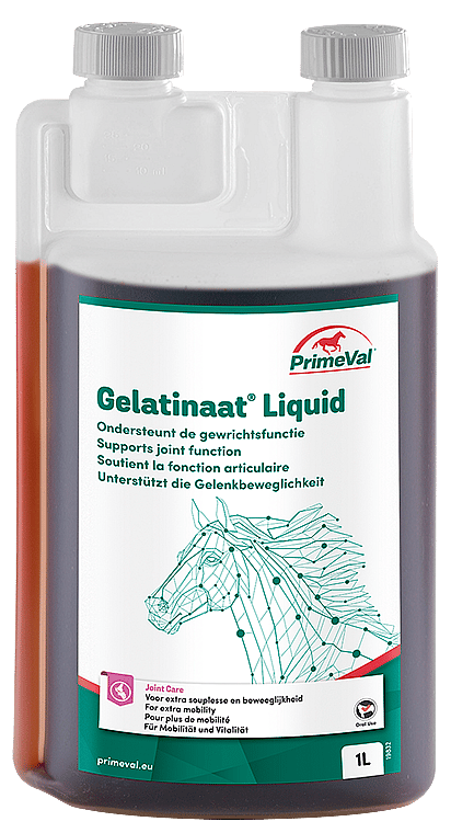 Primeval Gelatinaat Liquid 1 liter