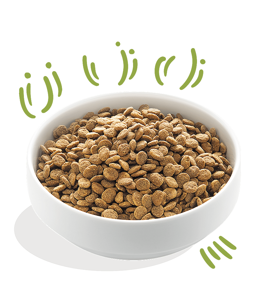 Edgard & Cooper Adult Hondenvoer Vers Graslam