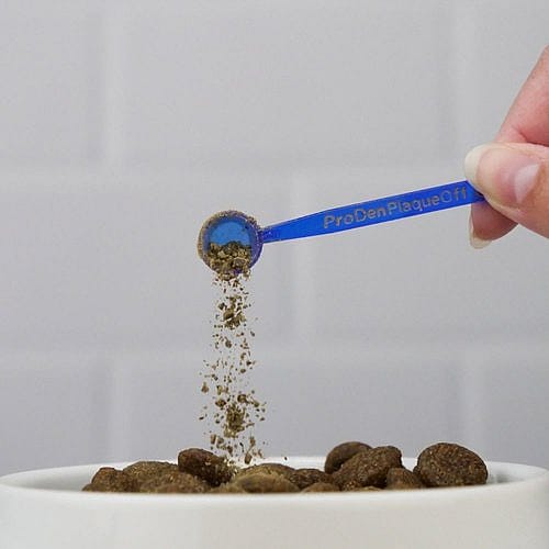 ProDen PlaqueOff Poeder Hond 60 gram