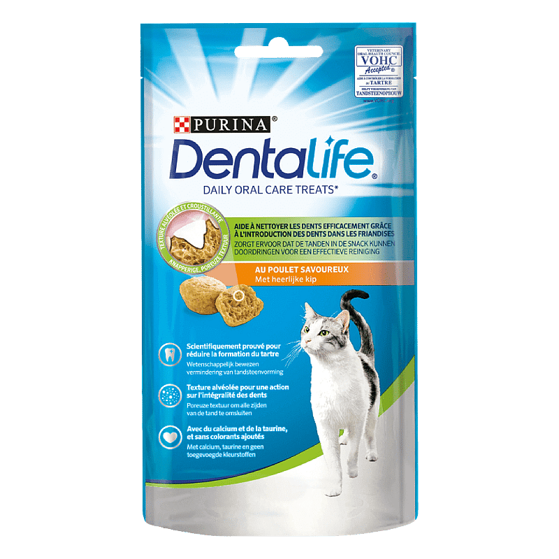 Purina DentaLife Kat Kip - 40 gram