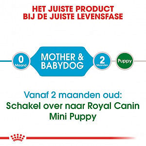Royal Canin Starter Mini Hond