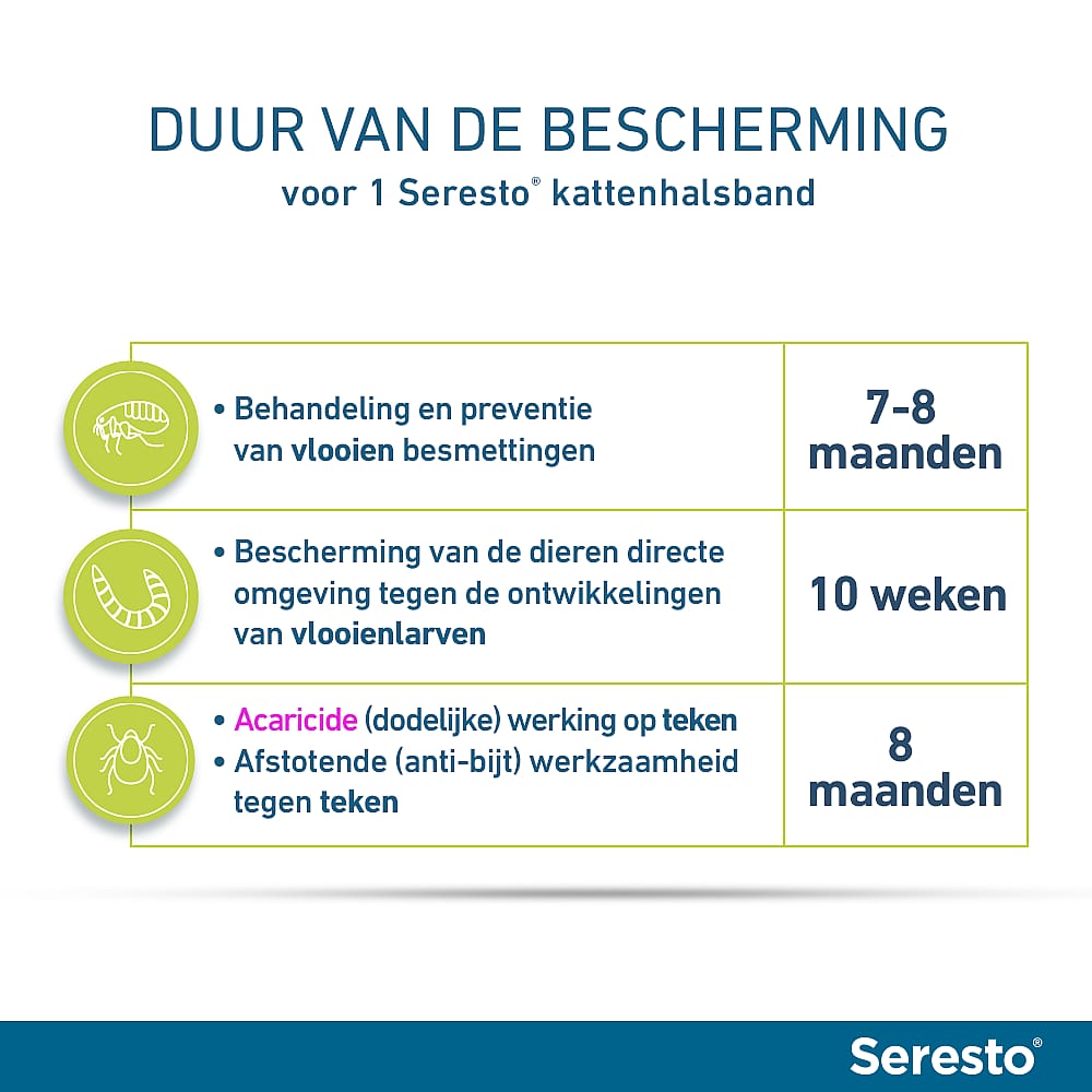 Seresto Halsband Kat: Vlooien en Teken Bescherming - 7 tot 8 maanden - Geurloos & Waterbestendig