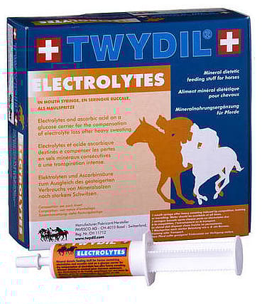 Twydil Electrolytes Pasta 50 gram injector