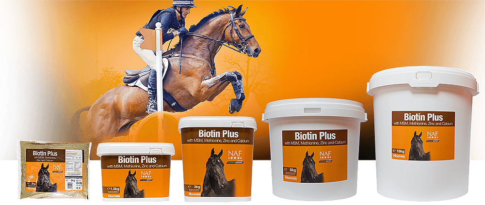 NAF Biotine Plus – Supplement voor hoefgezondheid bij paarden
