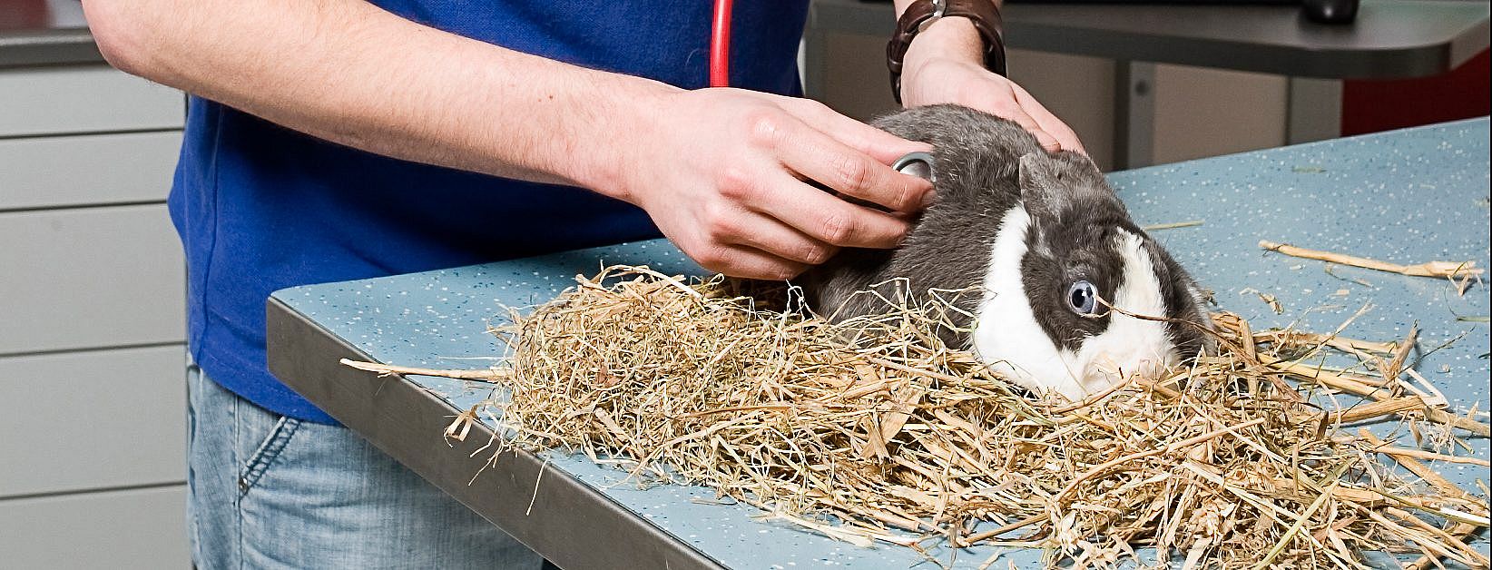 286ea6da7cbd6a0e1232d140267db879