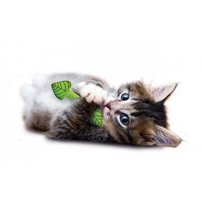 Petstages Fresh Breath Mint Stick Kauwspeelgoed Kat