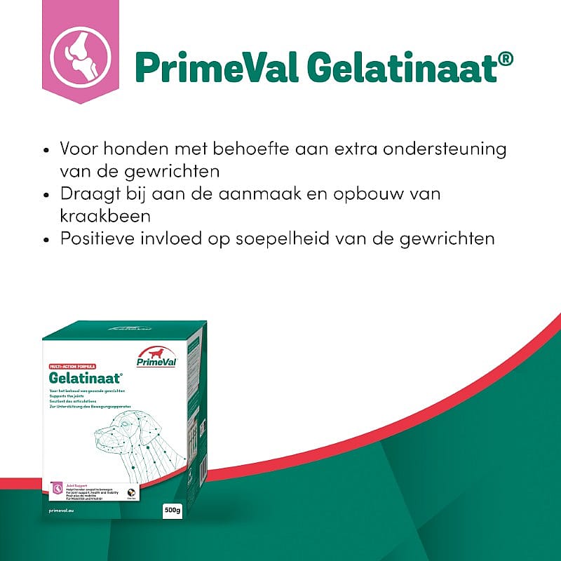 Primeval Gelatinaat Hond 500 gram
