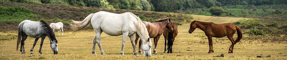 a24b2c04428a872410e74e917a249724