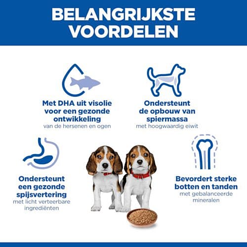 dog biscuits, dog food, pet supplement, bone shape, two dogs