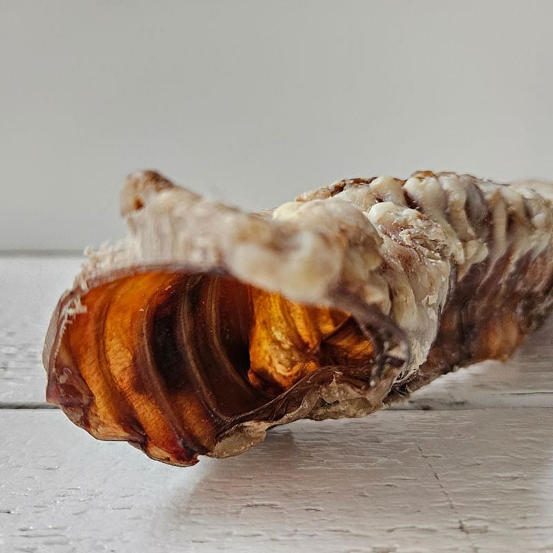 Dierapotheker Luchtpijp Rund Snack Hond 25 cm