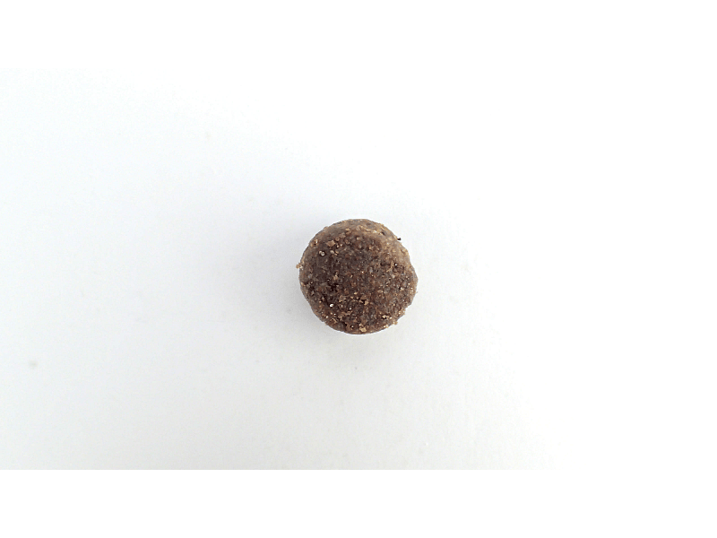 Calibra Hond Life Junior Large Breed Chicken