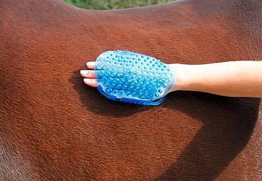 Borstel-Magneet-Massage-Paard-poetsen Borstel Magneet Massage Paard