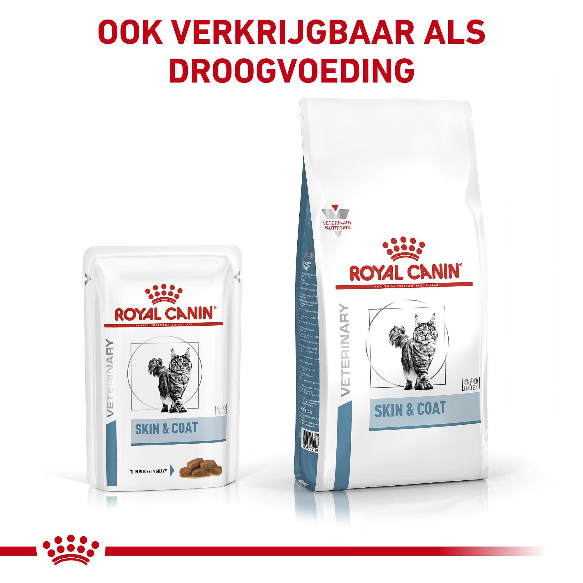Royal Canin Skin & Coat Kat 12 x 85 gram