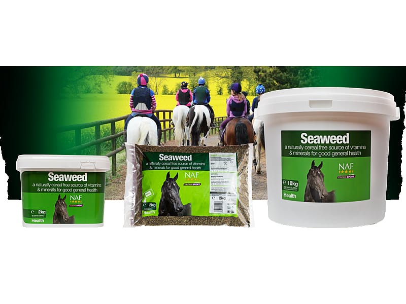 NAF Seaweed – Natuurlijke ondersteuning met zeewier voor vitaliteit en stofwisseling