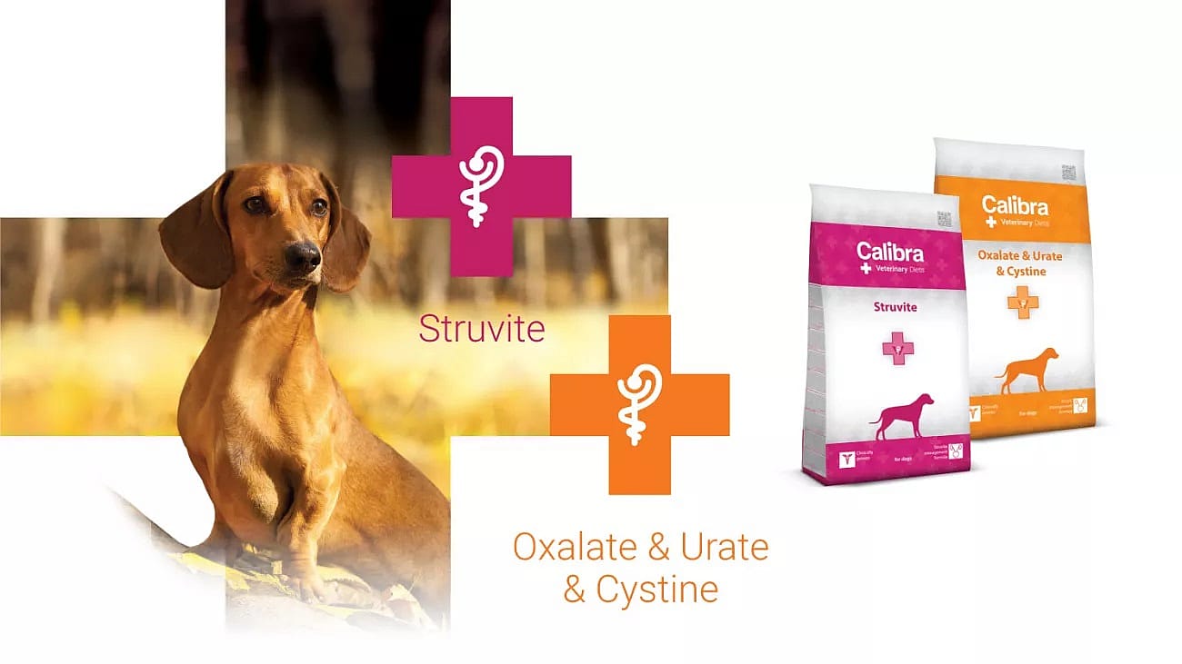 Calibra Dog Veterinary Diets Struvite 12 kg