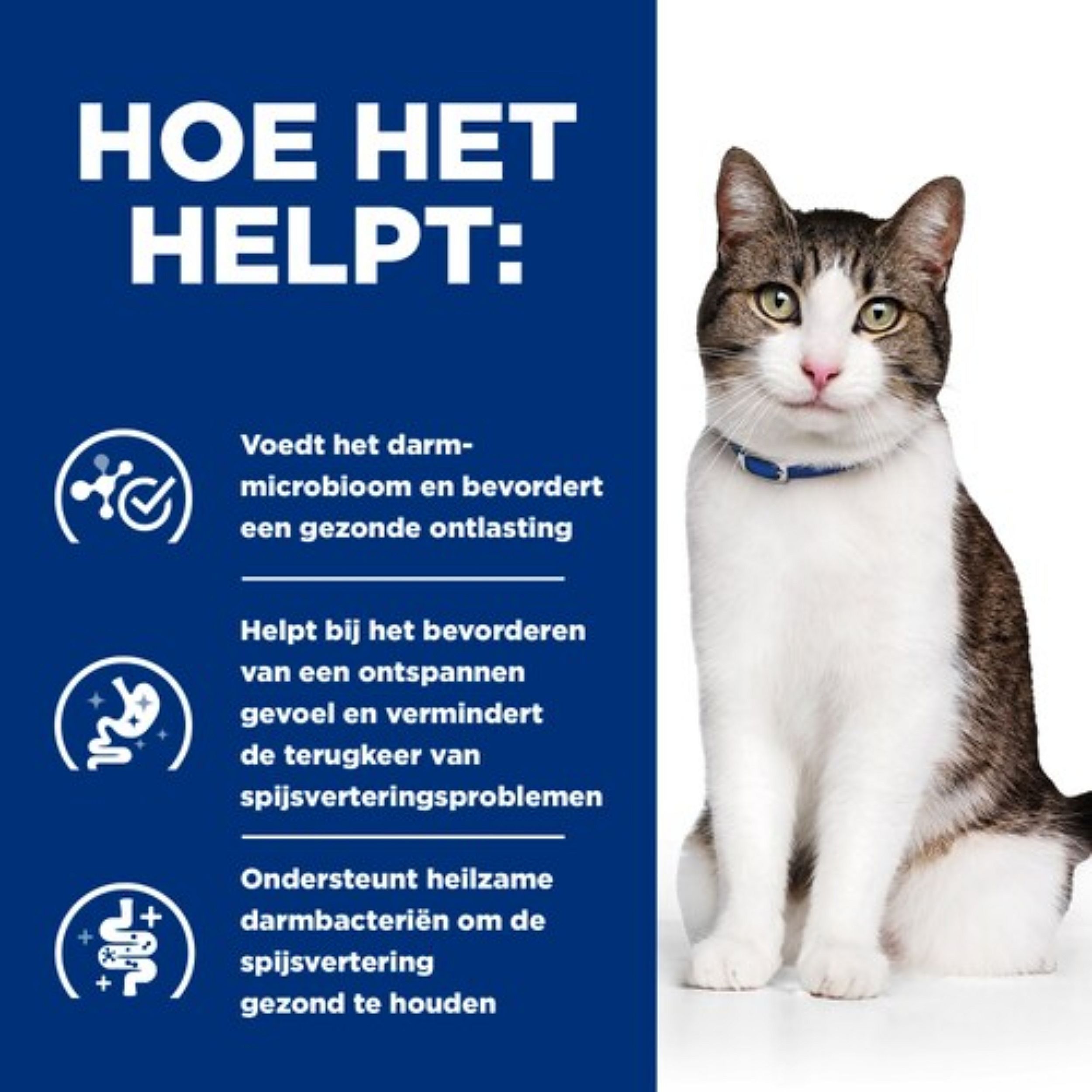 Hills Prescription Diet Gastrointestinal Biome Stress Kattenvoer 1.5 kg