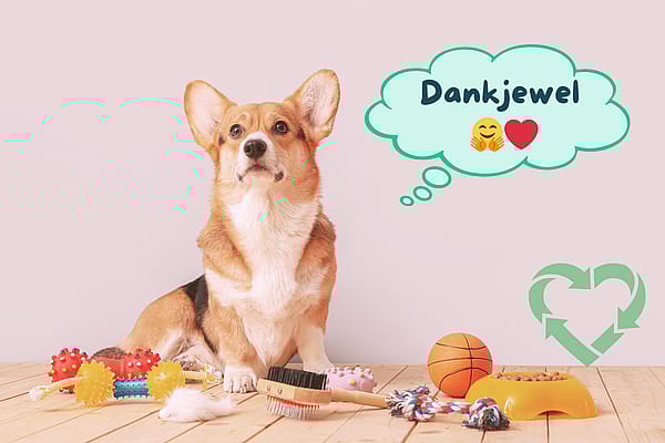 Geef dierenspullen een tweede leven voor dier en planeet preview image 600x400px